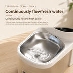 7L Smart Pet Fountain for Large Dogs & Cats | No Filter needed