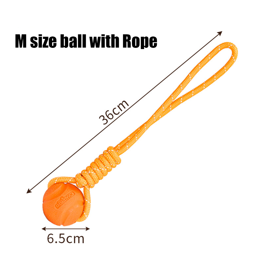 Durable Chew Ball for Dogs