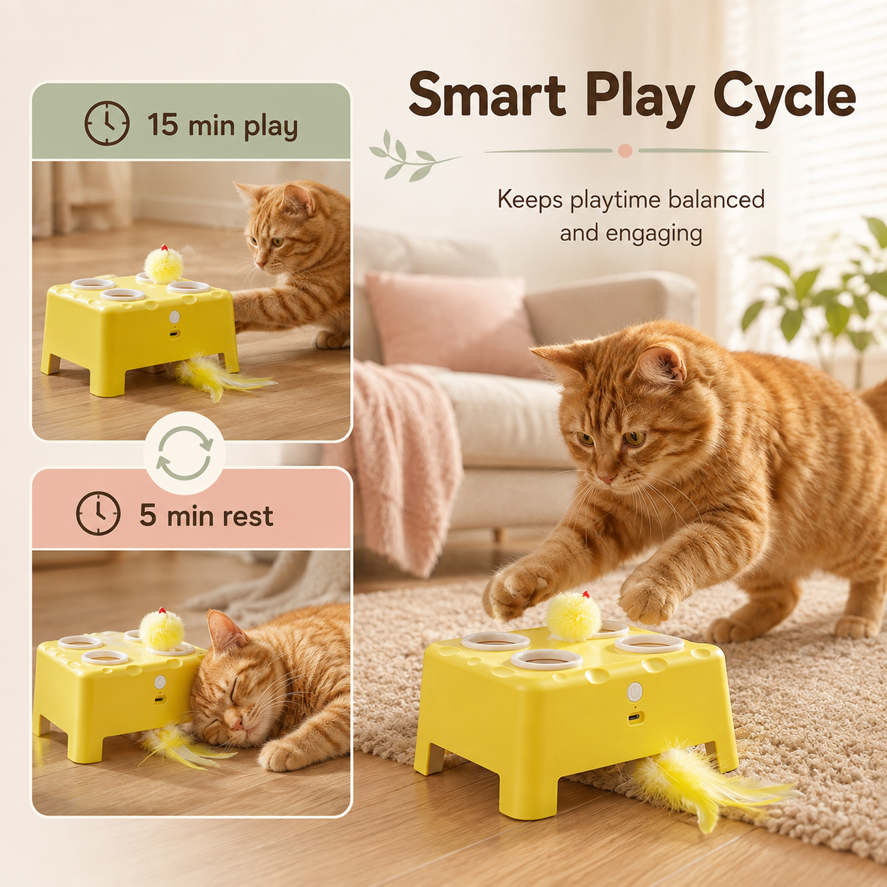 3-in-1 Interactive Cat Toy – Feather