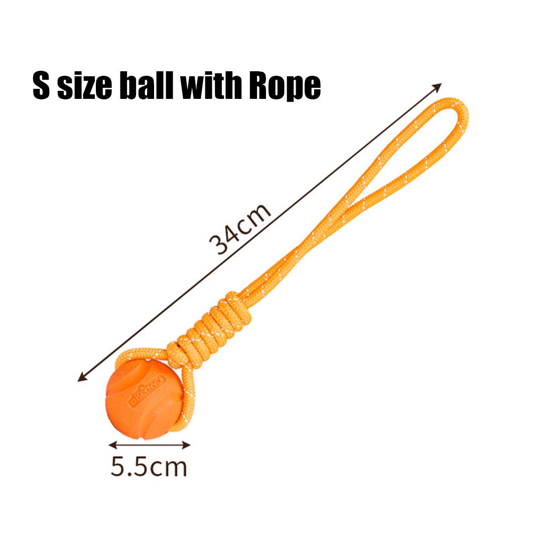 Durable Chew Ball for Dogs